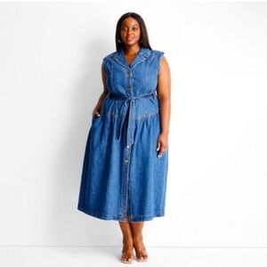 Future Collective Jenee Naylor x Target Denim Maxi Dress